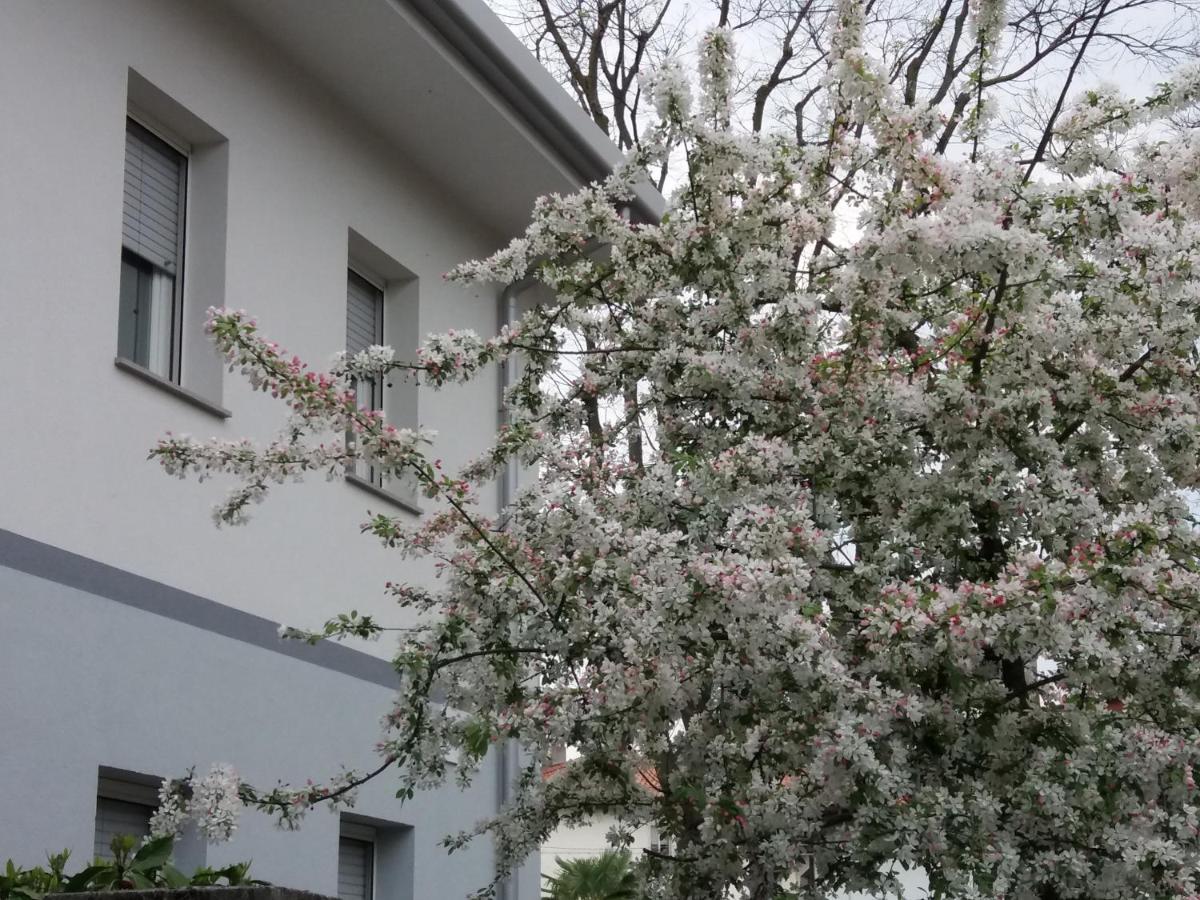 Civico 51 B&B Udine Eksteriør bilde